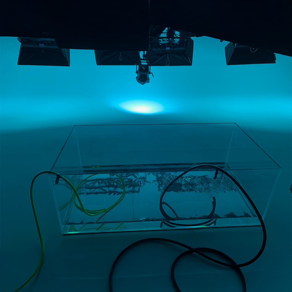 IL RITORNO DI ACQUARI DI FAMIGLIA