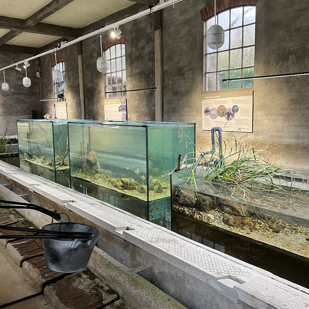 IL PRIMO MUSEO DEL LAGO A VARESE